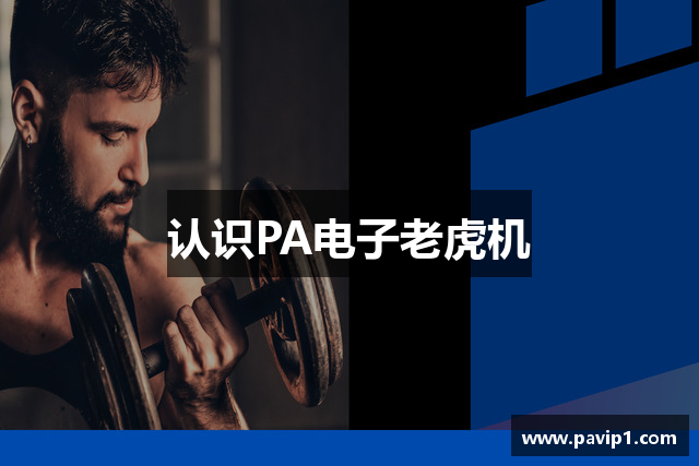 认识PA电子老虎机