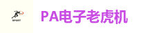 PA电子老虎机